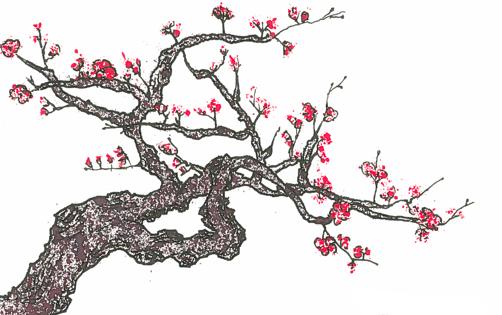 camelia