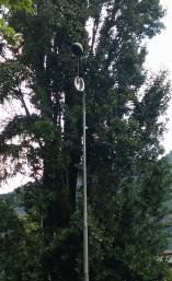 Nubifragio a Bolzano. Un servizio fotografico "in diretta" di Franco Boscolo