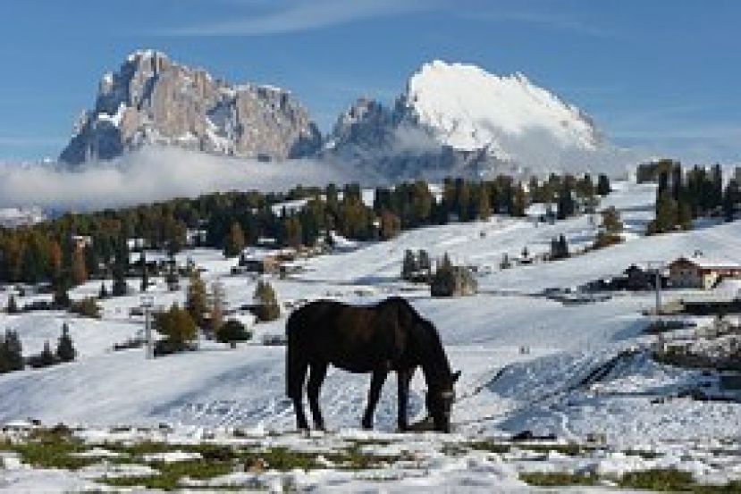 Alpe di Siusi: intervista con Alex Andreis, direttore di Alpe di Siusi Marketing