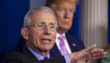Nelle "fauci" di Fauci